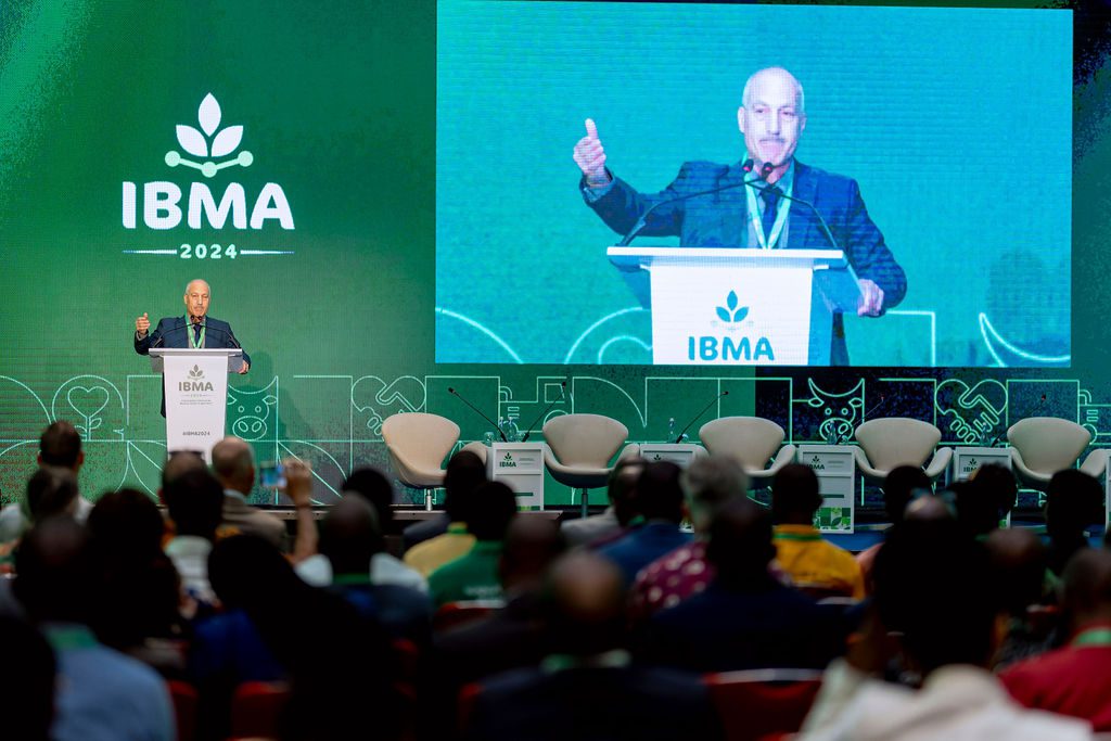 IBMA